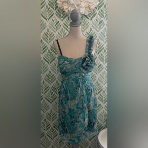 Women’s dress size large